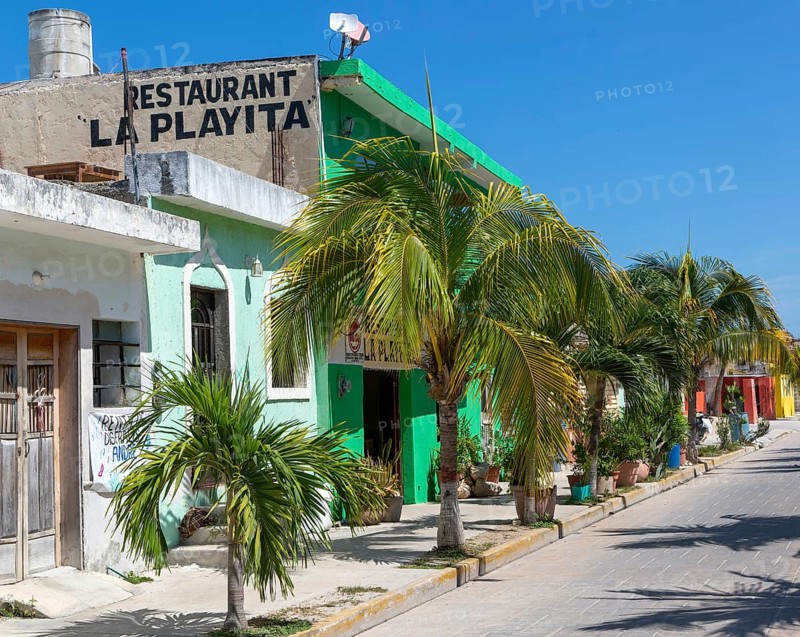 Palm trees on pavement of La Playita restaurant colourful buildings quiet village road, Celestun, Yucatan, Mexico, Central America