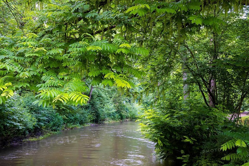 The River Ilm in Weimar at the park of the same name