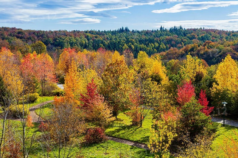 The Forest Botanical Garden Tharandt is an institution of the Technical University of Dresden and at the same time the Saxon State Arboretum. It houses single stem woody plants and has been greatly expanded since 1997 to include North American forest formations