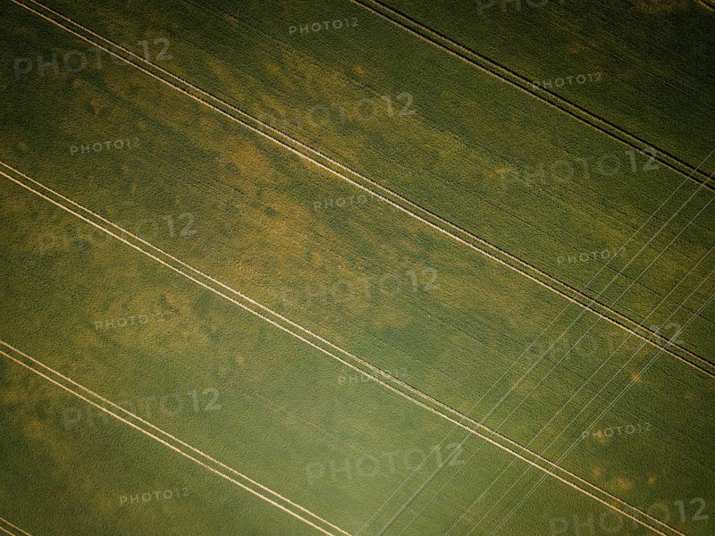 Landscape change through man. The dead-straight lines of a cultivated field are crossed by a power line