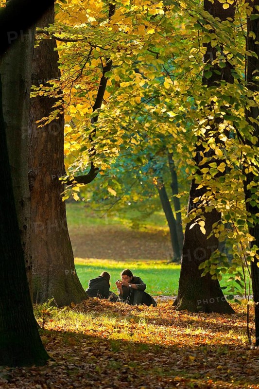 (Copyright Â© Sylvio Dittrich +49 1772156417) Autumn in the Great Garden The Great Garden was laid out from 1676 for the Elector Prince and later Elector Johann Georg III as a hunting garden with a star-shaped network of paths. From 1678, master builder Johann Georg Starcke built the palace in the Great Garden in coordination with the garden plans by Johann Friedrich Karcher