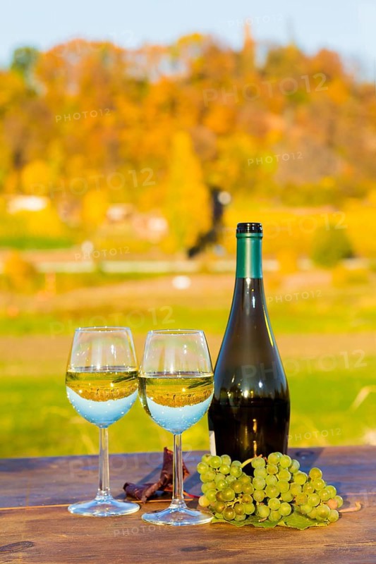 The wine-growing region of Saxony is one of the smallest and the most easterly wine-growing region in Germany, defined in Â§ 3 para. 1 no. 12 of the Wine Act. It is located almost exclusively in the Dresden conurbation in the Elbe valley. Well-known wine towns are Meissen, which gives its name to the most important area, and Radebeul