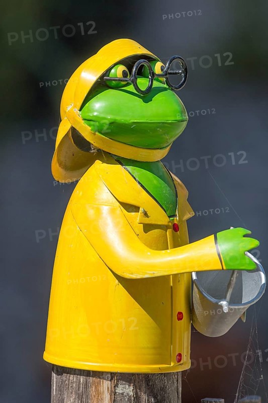 Tin toy, decoration, frog with glasses on a garden fence, Mecklenburg, Western Pomerania, Germany, Europe