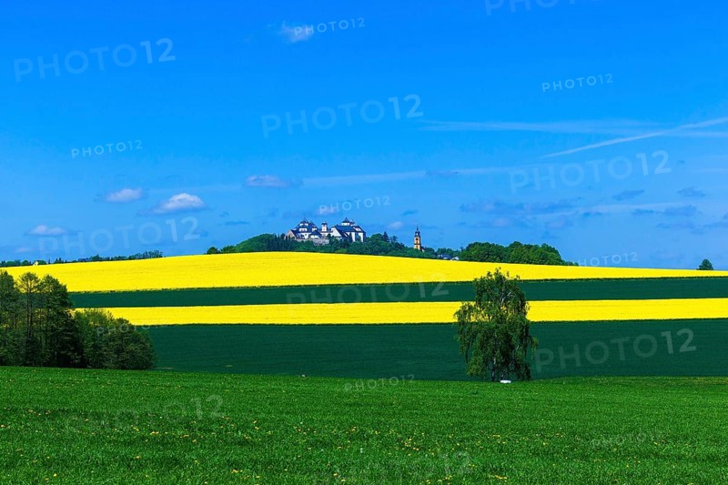 Augustusburg Castle