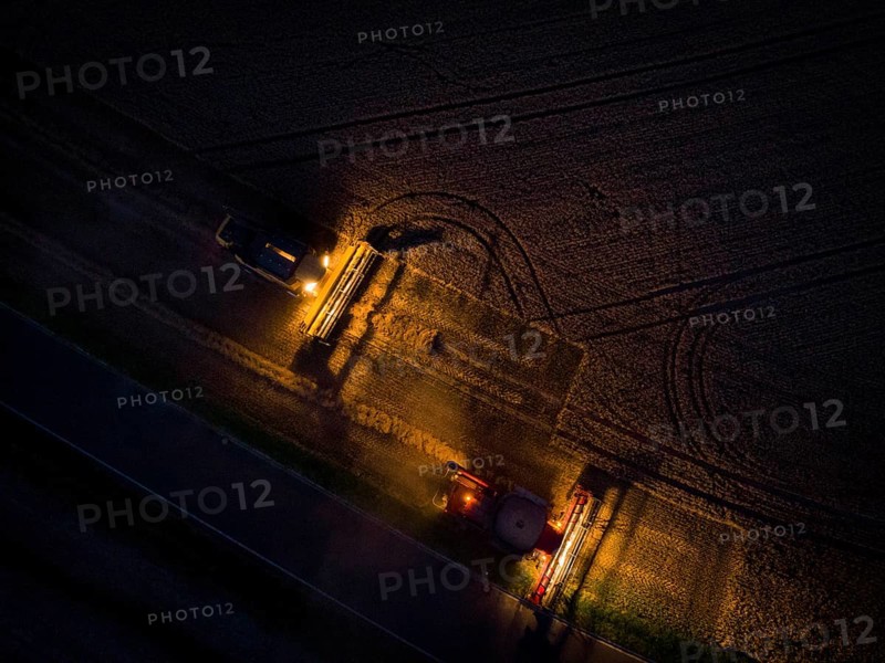A combine harvester harvests a grain forest. When it is harvest time, the grain must also be brought from the stalk at night