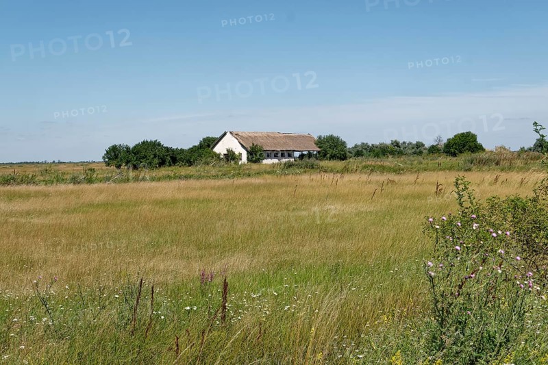 Puszta and steppe landscape in Hortobagy National Park, Hortobagy Nemzeti Park, UNESCO Biosphere Reserve. Hortobagy, Debrecen, Hungary, Southeast Europe, Europe