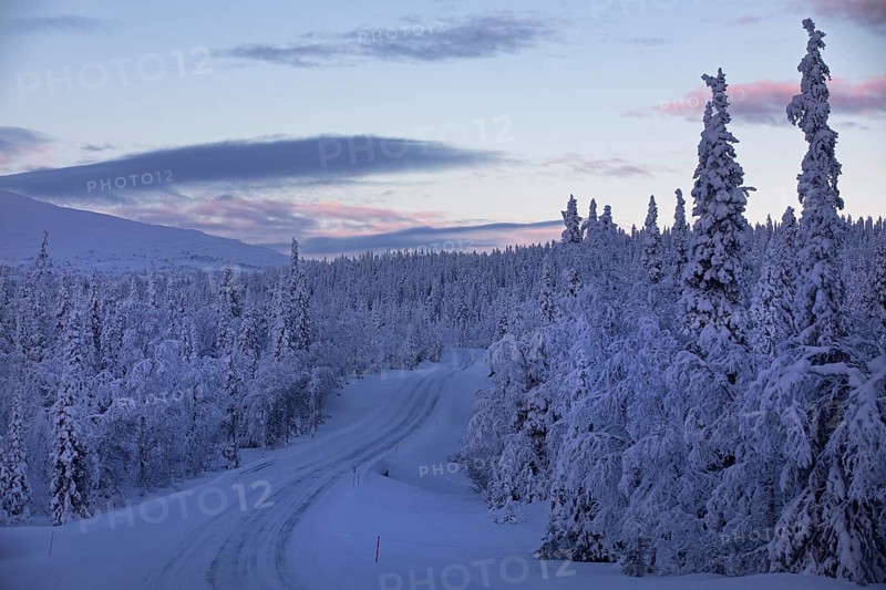 Winter road in Pallas Yllästunturi National Park along snow-covered trees with mountains in the background