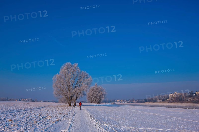 Jogger on the Elbe in Dresden