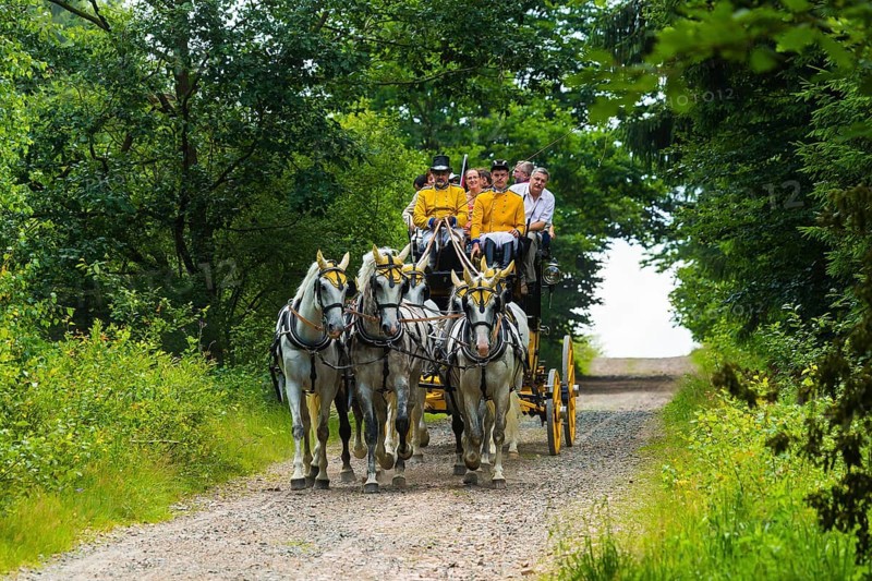 8th stagecoach meeting in Grillenburg