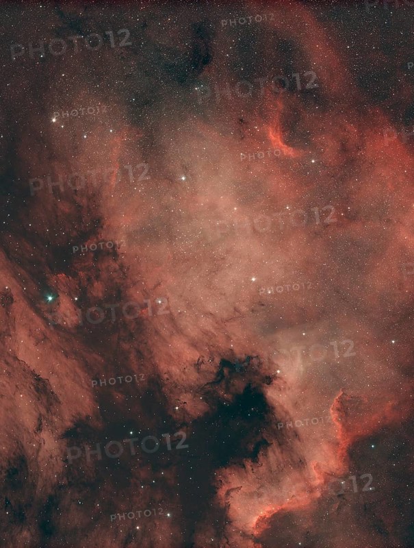 Diffuse Gas Nebula NGC7000, North America Nebula in the constellation Swan in the northern starry sky