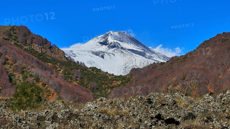 Grey lava rubble, reddish brown trees, blue sky, snow-capped peaks, Etna, volcano, Eastern Sicily, Sicily, Italy, Europe