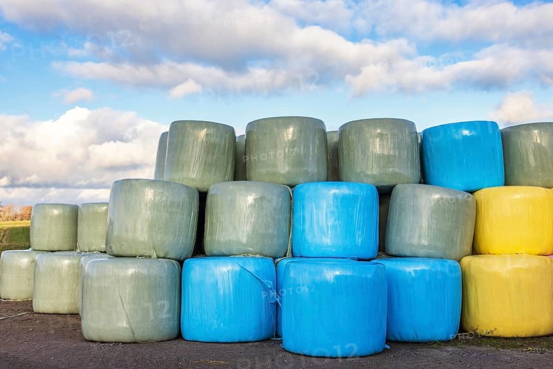 Colored silage bales in the countryside