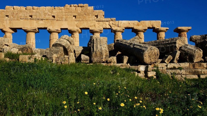Column row, chapter, entablature, column remains, green meadow, temple A, Dioscuri temple, Selinunte, archaeological site, temple, southwest Sicily, Sicily, Italy, Europe