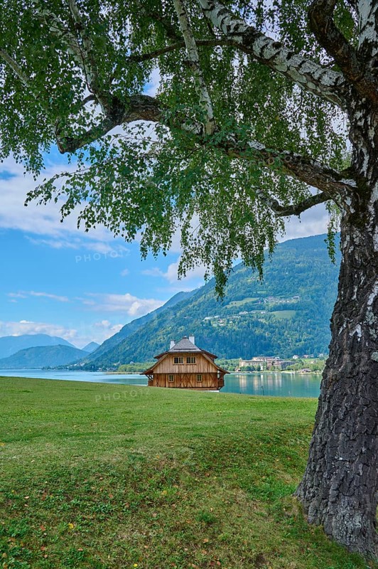 Birch meadow, house, Ossiach, Lake Ossiach, Carinthia, Austria, Europe
