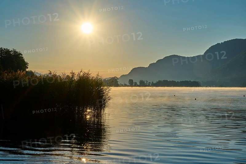 Lake shore, reeds, sunrise, summer, Steindorf am Lake Ossiach, Lake Ossiach, Carinthia, Austria, Europe