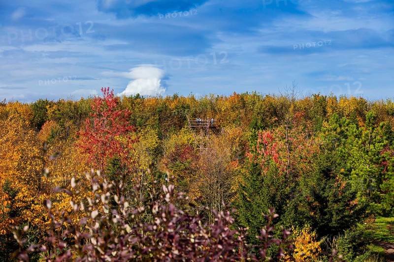 The Forest Botanical Garden Tharandt is an institution of the Technical University of Dresden and at the same time the Saxon State Arboretum. It houses single stem woody plants and has been greatly expanded since 1997 to include North American forest formations