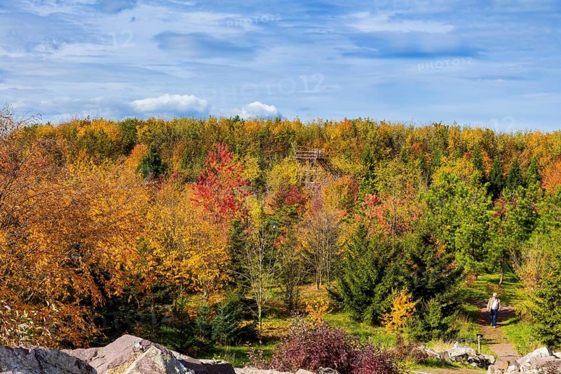 The Forest Botanical Garden Tharandt is an institution of the Technical University of Dresden and at the same time the Saxon State Arboretum. It houses single stem woody plants and has been greatly expanded since 1997 to include North American forest formations