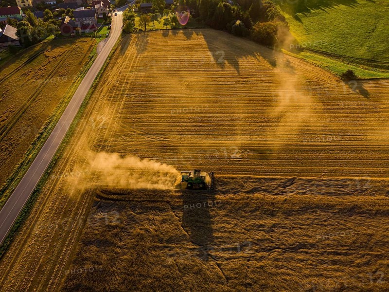 A combine harvester harvests a cereal forest