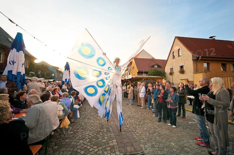 Autumn and wine festival in Altkötzschenbroda