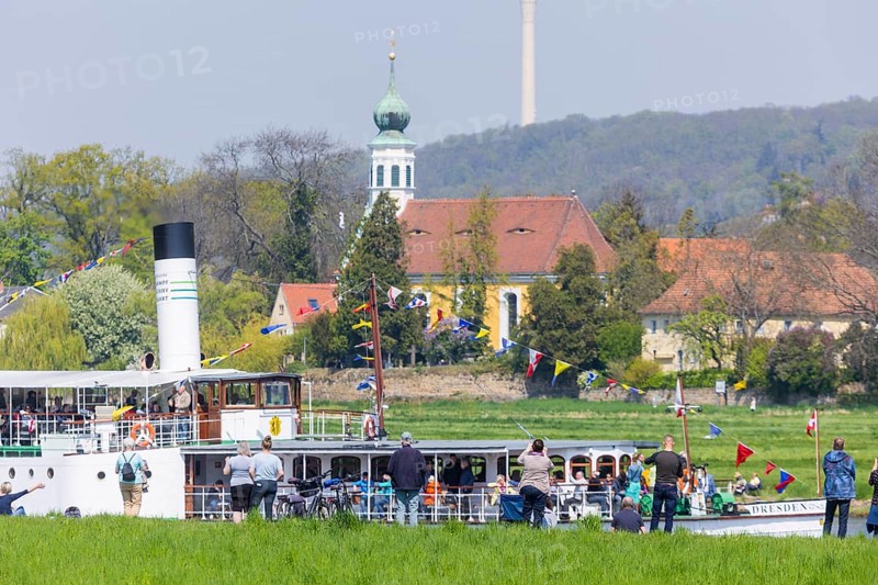 Steamship parade of the historic paddle steamers., in the background the Schifferkirche Maria am Wasser and the TV tower