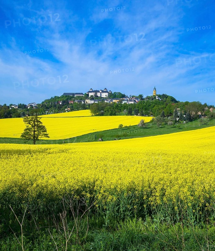 Augustusburg Castle