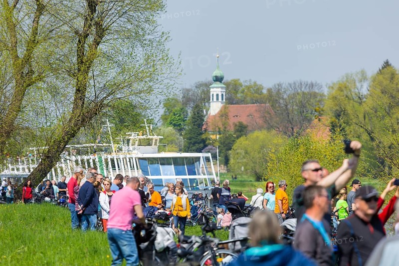 Steamship parade of the historic paddle steamers ., in the background the Schifferkirche Maria am Wasser (St. Mary's Church on the Waterfront)