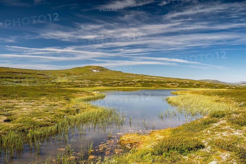 Lake in the landscape of the Hardangervidda plateau, Norway, Europe