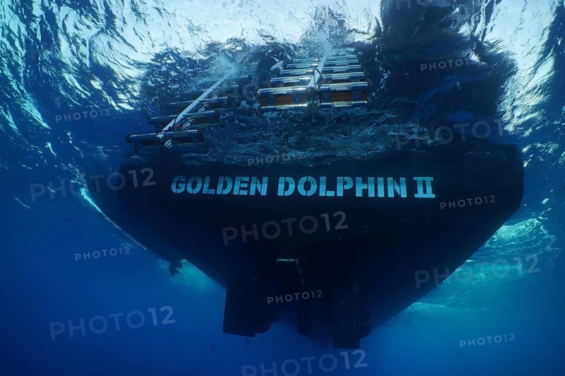 Safari boat, dive boat, Livaboard Golden Dolphin II, from below, ladder, exit. Dive site Umm Aruk, Saint Johns, Egypt, Red Sea, Africa