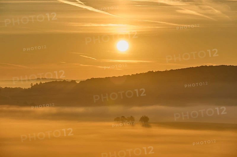 Landscape, fog, trees, forest, sunrise, Höhefeld, Wertheim, Baden-Württemberg, Germany, Europe