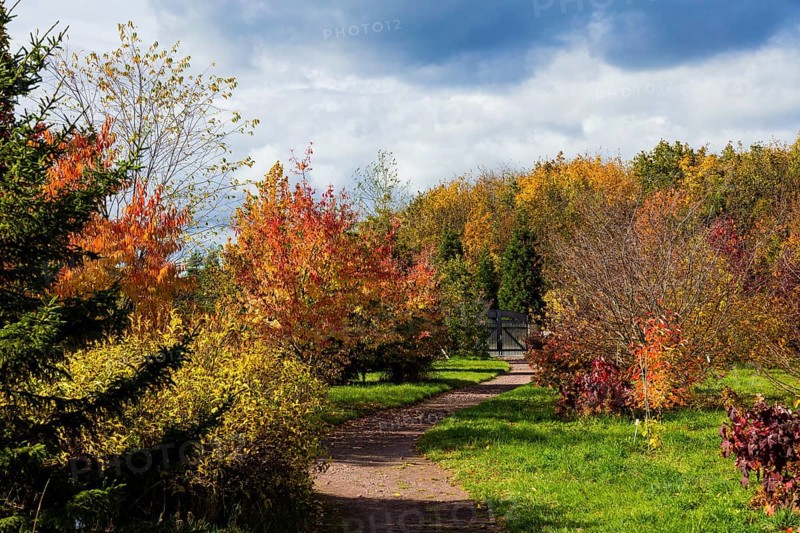 The Forest Botanical Garden Tharandt is an institution of the Technical University of Dresden and at the same time the Saxon State Arboretum. It houses single stem woody plants and has been greatly expanded since 1997 to include North American forest formations