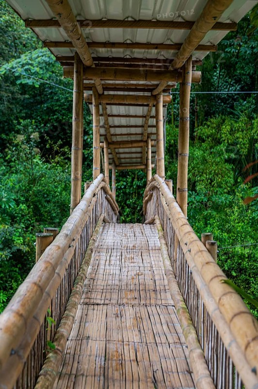 Bamboo bridge leading to the Unesco world heritage site, Tierradentro, Colombia, South America