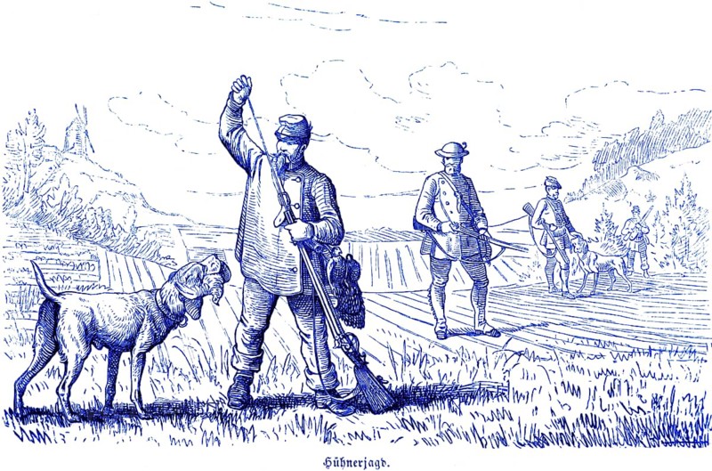 Hen hunt, partridges, driven hunt, Hubertus hunt, hunting scenes, wild animals, field, hunter, loading rifle, hunting dogs, historical illustration around 1860