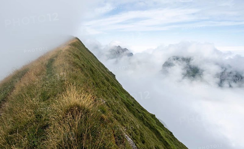Steep grassy mountains in the fog, ascent to Marwes, Säntis, Appenzell Ausserrhoden, Appenzell Alps, Switzerland, Europe