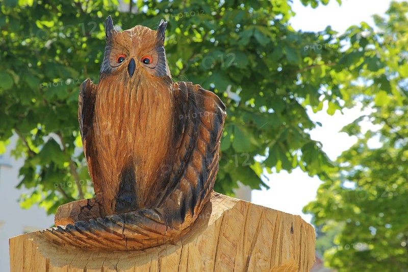 Sculpture owl by Mathias Kämpfer alias Holz-Mathi, wooden figure, owl figure, bird figure, owl, long-eared owl, animal figure, woodcarving, handicraft, chainsaw art, Auerbach, Vogtland, Saxony, Germany, Europe