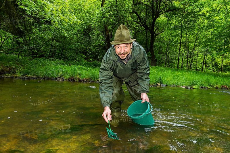 Releasing salmon in Saxon Switzerland