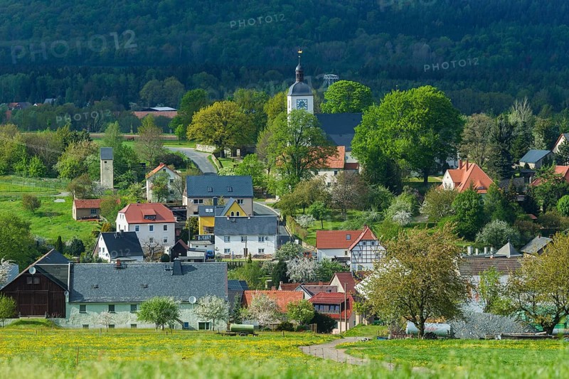 Village view Reinhardtsgrimma
