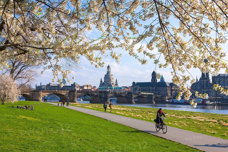 Spring on the Königsufer in Dresden