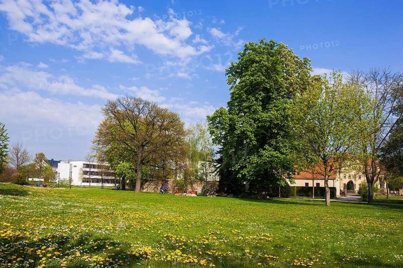 Coswig, Karrasburg