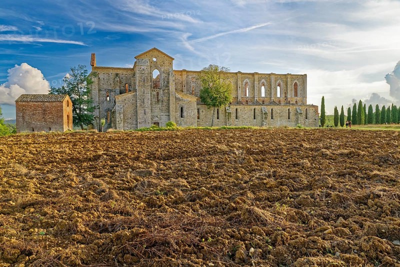 Church ruins of the Cistercian Abbey of San Galgano, Abbazia San Galgano, Gothic, Tuscany, Italy, Europe