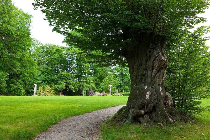 Pulsnitz Castle Park