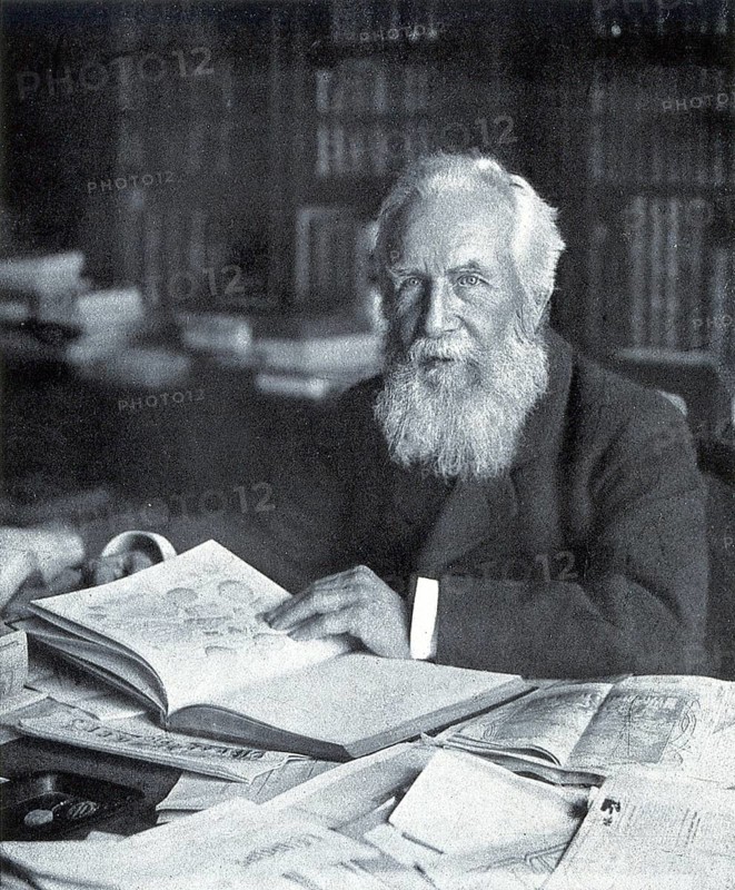 Ernst Heinrich Philipp August Haeckel (16 February 1834) (9 August 1919) was a German physician, zoologist, philosopher, draughtsman and freethinker who, from the 1860s onwards, developed the ideas of Charles Darwin into a special theory of descent, Historical, digitally restored reproduction from an original of that time