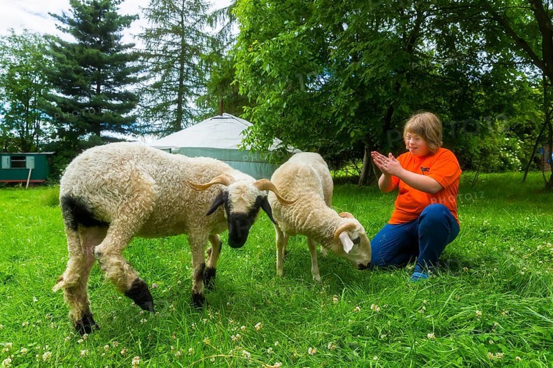 Curative riding on the Andershof farm