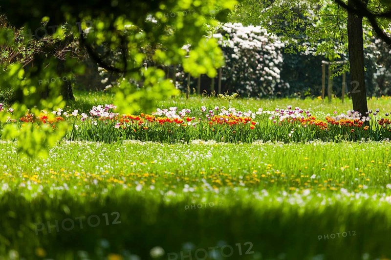 Pillnitz Palace Park in spring