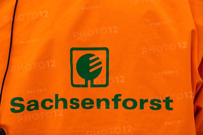 Employees of Sachsenforst at a press event for wood salvage in the Kirnitzschklamm gorge Hinterhermsdorf