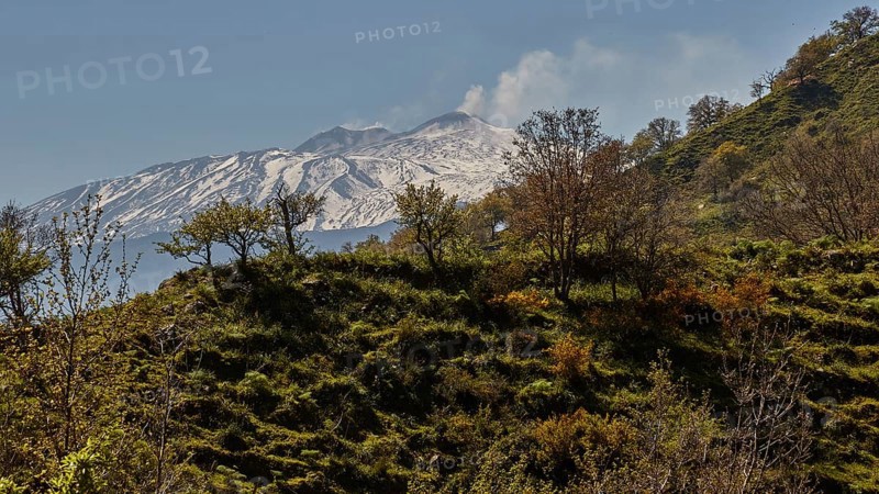 Spring, trees, green mountainside, Etna, snow-capped peak, smoking volcano, Eastern Sicily, Sicily, Italy, Europe
