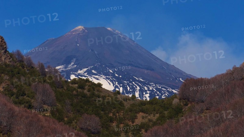 Peak, Forest, Slopes with snow, Etna, Volcano, Eastern Sicily, Sicily, Italy, Europe
