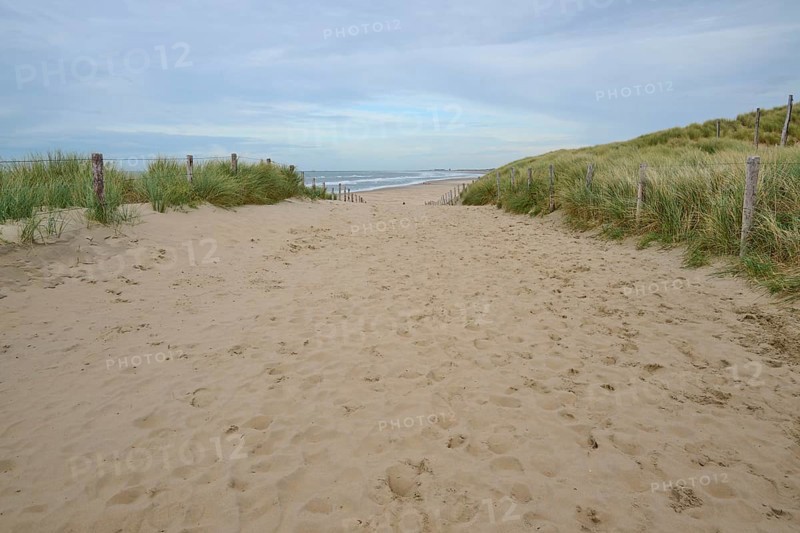 Beach access, sand dune, sea, dune grass, clouds, Zandvoort, North Sea, North Holland, Netherlands
