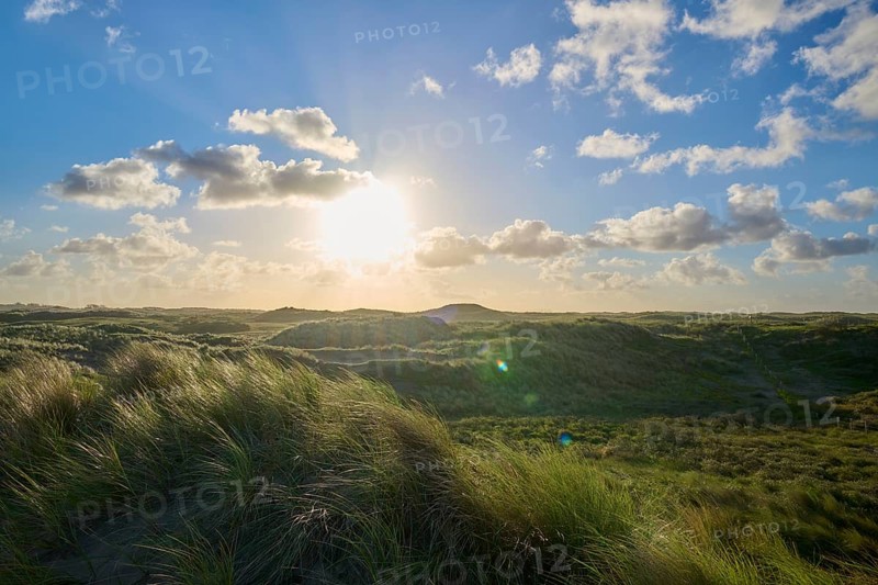 Sand dune, dune grass, wind, sun, clouds, morning, Amsterdam water line dunes, Zandvoort, North Sea, North Holland, Netherlands
