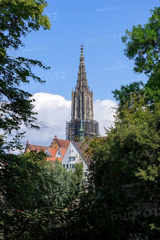 City view, historical old town, fishermen's quarter, cathedral, Ulm, Baden-Württemberg, Germany, Europe