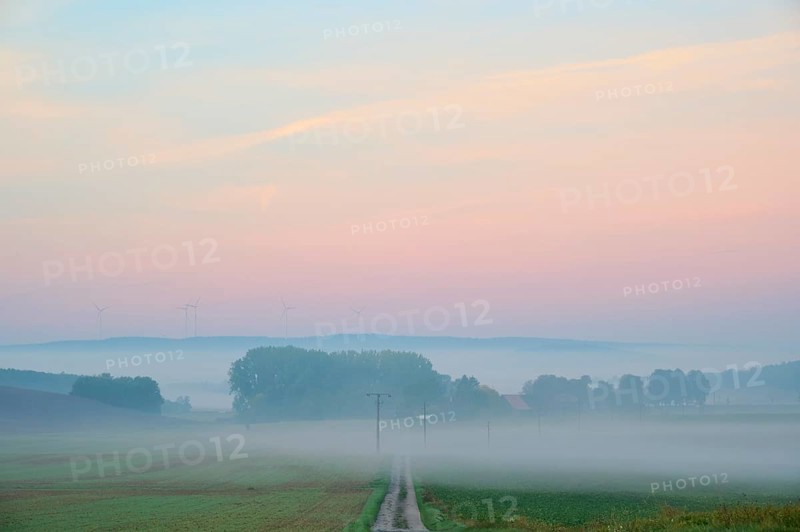 Landscape, country lane, twilight, fog, morning, Höhefeld, Wertheim, Baden-Württemberg, Germany, Europe